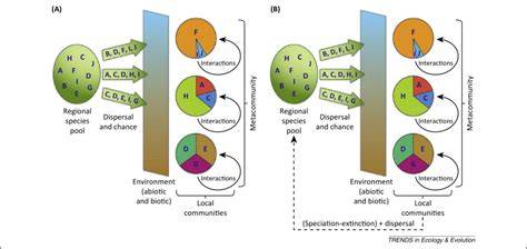 Ecological and evolutionary perspectives on community assembly - raincitystudios.com