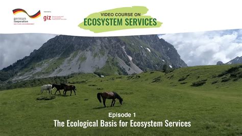 Ecological Basis of Ecosystem Services and … - wintechmobiles.com