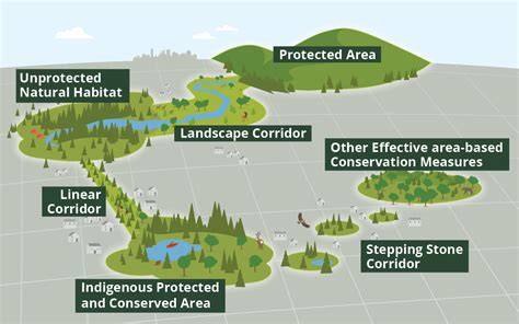 Ecological Connectivity | Springer Nature Link - raincitystudios.com