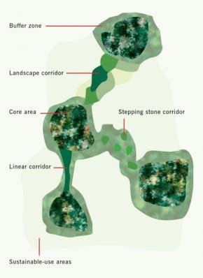 Ecological corridors and landscape planning: a model to ... - Springer - wintechmobiles.com
