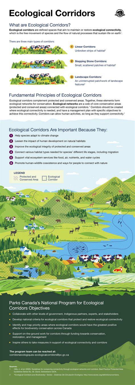 Ecological Corridors - A Vital Nature-based Solution to Climate Change - - raincitystudios.com