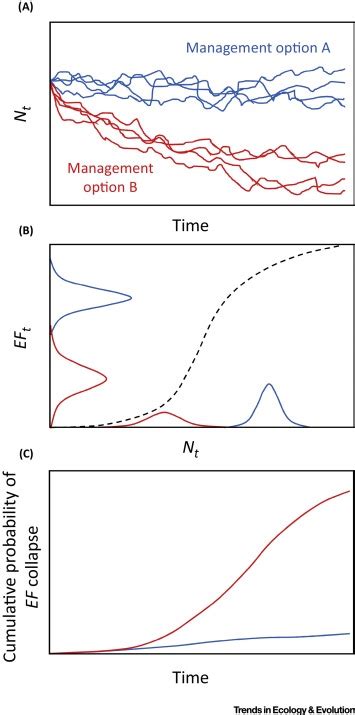 Ecological Function Analysis: Incorporating Species Roles into ... - raincitystudios.com