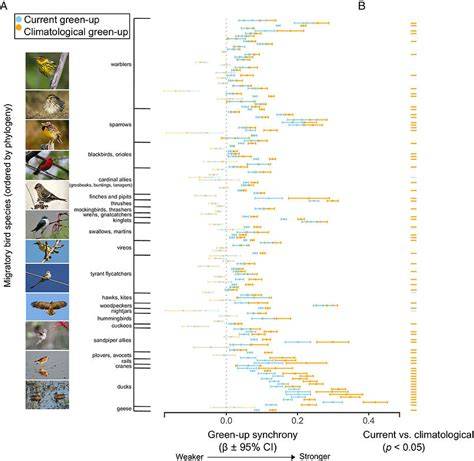 Ecological function maintained despite mesomammal declines - raincitystudios.com