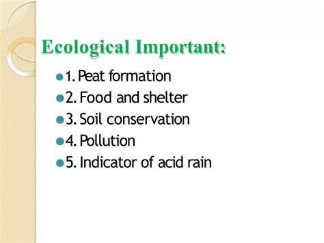 Ecological Importance - MAMMALS - Weebly - raincitystudios.com