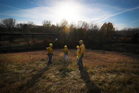 Ecological Land Restoration Services | Prairie Restorations, MN - raincitystudios.com