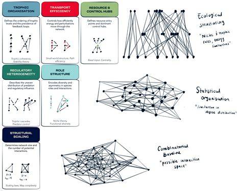 Ecological network structure in response to community assembly ... - raincitystudios.com
