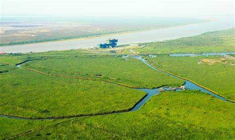 Ecological protection of Yellow River estuary resonates … - raincitystudios.com