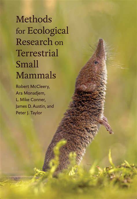 Ecological relationships of terrestrial small mammals in … - raincitystudios.com