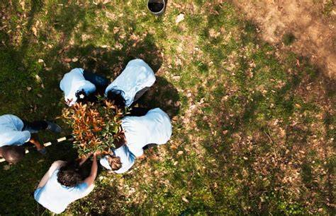 Ecological Restoration: How to Bring Life Back to … - raincitystudios.com