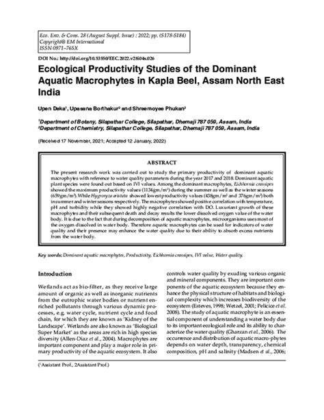 ECOLOGICAL STUDIES ON THE PRODUCTIVITY - raincitystudios.com
