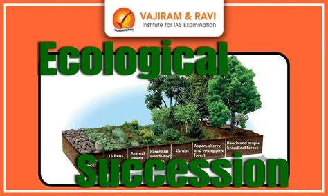 Ecological Succession Review Flashcards | Quizlet - raincitystudios.com