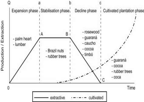 Ecological trade and forest product extraction in medieval Sumatra - wintechmobiles.com
