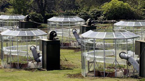 Ecology: Experimental enclosures reveal effects of … - raincitystudios.com