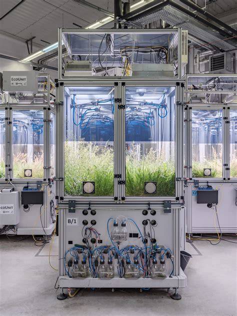 Ecology: Experimental enclosures reveal effects of invertebrate ... - raincitystudios.com
