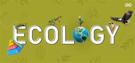 Ecology & Conservation: Ecosystems, Biomes, and Biodiversity Study ... - muktibox.com