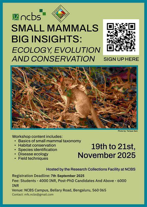 Ecology and Conservation of Small Mammals: Exploring ... - MDPI - raincitystudios.com
