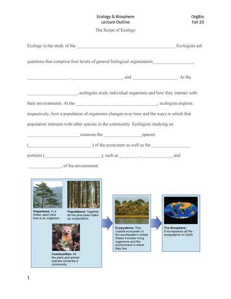 Ecology Ch. 23; Terrestrial Ecosystems Flashcards | Quizlet - raincitystudios.com