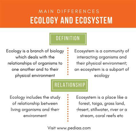 Ecology Community Structure Summary & Analysis | SparkNotes - raincitystudios.com