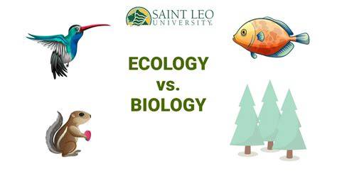 Ecology vs. Marine Biology - What's the Difference? | This vs. That - raincitystudios.com
