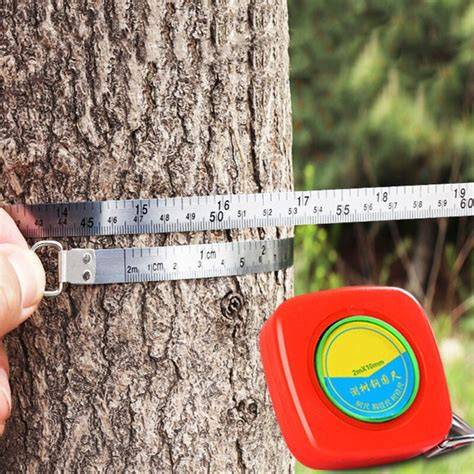 EcoNest Excellent Diameter Circumference Tape Measure Gardening Tree ... - raincitystudios.com