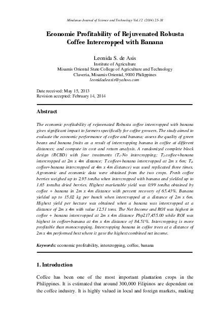 Economic Profitability of Rejuvenated Robusta Coffee Intercropped with ... - raincitystudios.com
