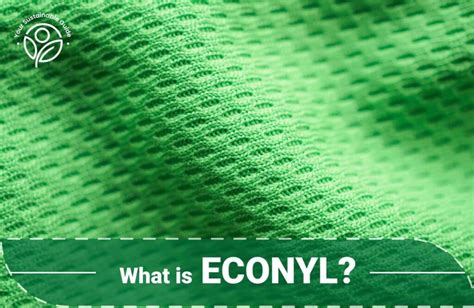 Econyl Shop - Live & Repeat – ECONYL® e-shop - raincitystudios.com