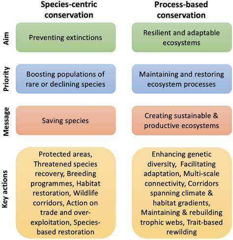 ECOSYSTEM BASED CONSERVATION STRATEGY … - raincitystudios.com