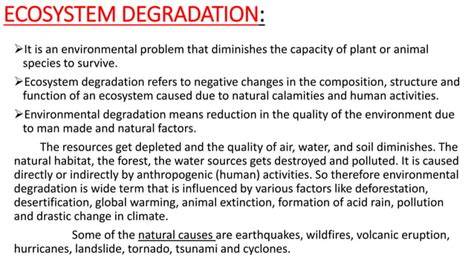 Ecosystem degradation & pollution | UNEP - UN … - raincitystudios.com