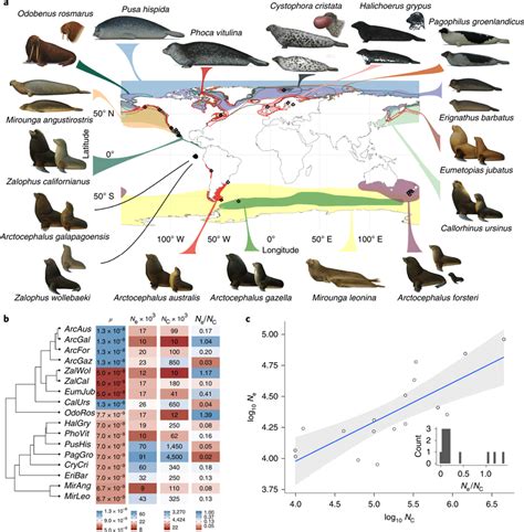 Ecosystem Impacts and Management of Pinniped Populations - muktibox.com
