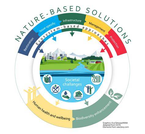 Ecosystem restoration and management based on nature-based … - raincitystudios.com
