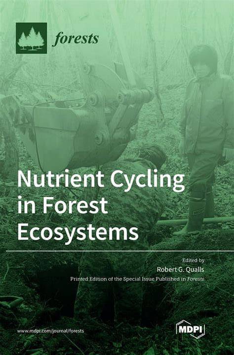 Ecosystems: Forest Nutrient Cycling | 23 | v2 | Terrestrial Ecosystems - raincitystudios.com