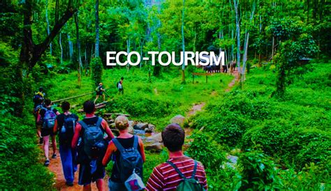 Ecotourism: An Innovative Approach to Biodiversity ... - Springer - wintechmobiles.com