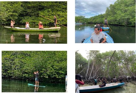 Ecotourism as a Tool for Mangrove Conservation - Neliti - raincitystudios.com