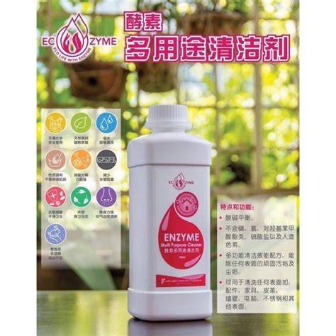 Ecozyme Enzyme Multipurpose Cleaner 950ml - raincitystudios.com