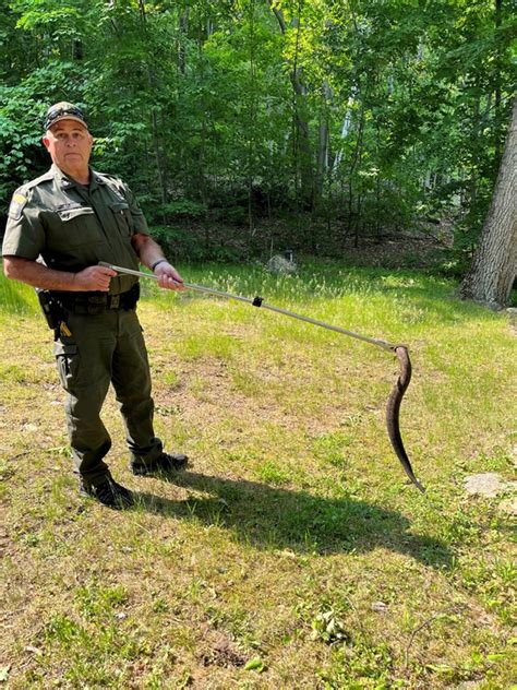 ECOs and Forest Rangers learn about handling live rattlesnakes