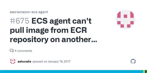 ECS agent can not successfully pull image from ECR