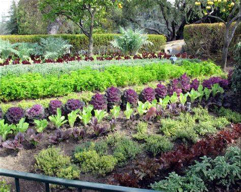 Edible Garden Landscape Design Ideas. Productive … - raincitystudios.com