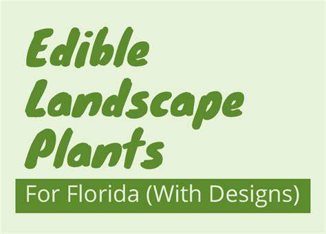 Edible Landscape Plants For Florida - FL Gardening - raincitystudios.com