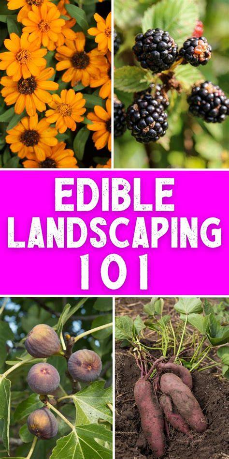 Edible Landscaping 101 - Urban Survival Site - raincitystudios.com