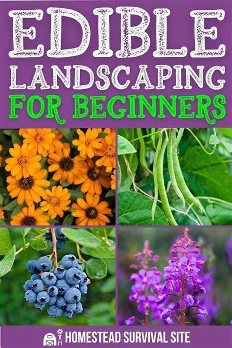 Edible Landscaping for Beginners - Homestead … - raincitystudios.com