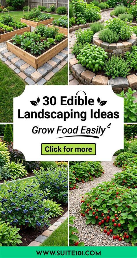 Edible Landscaping Ideas: Grow More Food - My … - raincitystudios.com