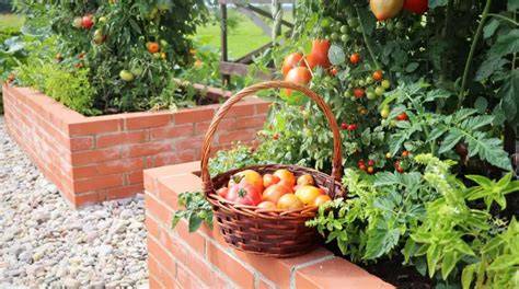 Edible Landscaping Ideas for Every Space | The Grounds Guys - raincitystudios.com