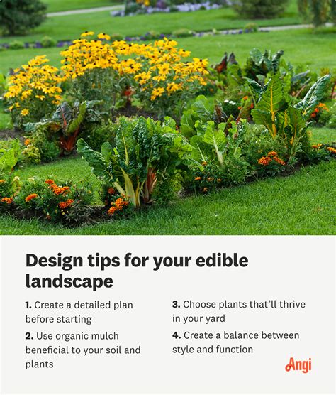 Edible Landscaping Made Easy: Design Theory and … - raincitystudios.com