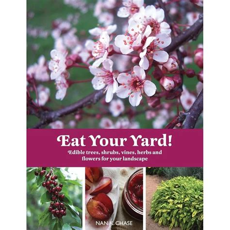 Edible Shrubs for your Landscape - raincitystudios.com