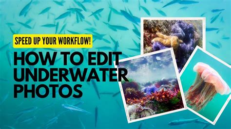 Editing Tips for Underwater Photos - Speed Up Your Workflow! - raincitystudios.com