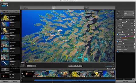 Editing Tips for Underwater Videographers Using GoPro - raincitystudios.com