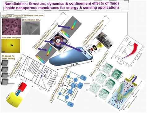 Editorial: Insights in micro- and nano-fluidics - Frontiers - wintechmobiles.com