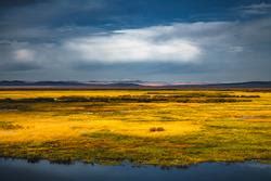 Editorial: Processes, mechanisms and solutions in coastal wetland to ... - muktibox.com