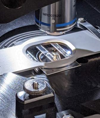 Editorial on Optical Tweezers for the 15th Anniversary of ... - MDPI - wintechmobiles.com