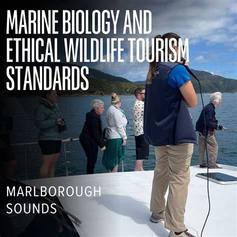 Education and Conservation Benefits of Marine Wildlife Tours ... - raincitystudios.com